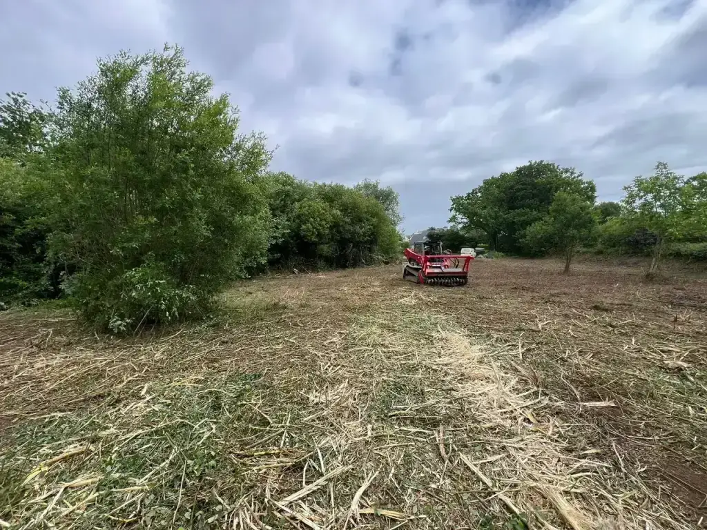 Broyage de la végétation en cours, broyat frais au sol, sur la parcelle de Fouesnant