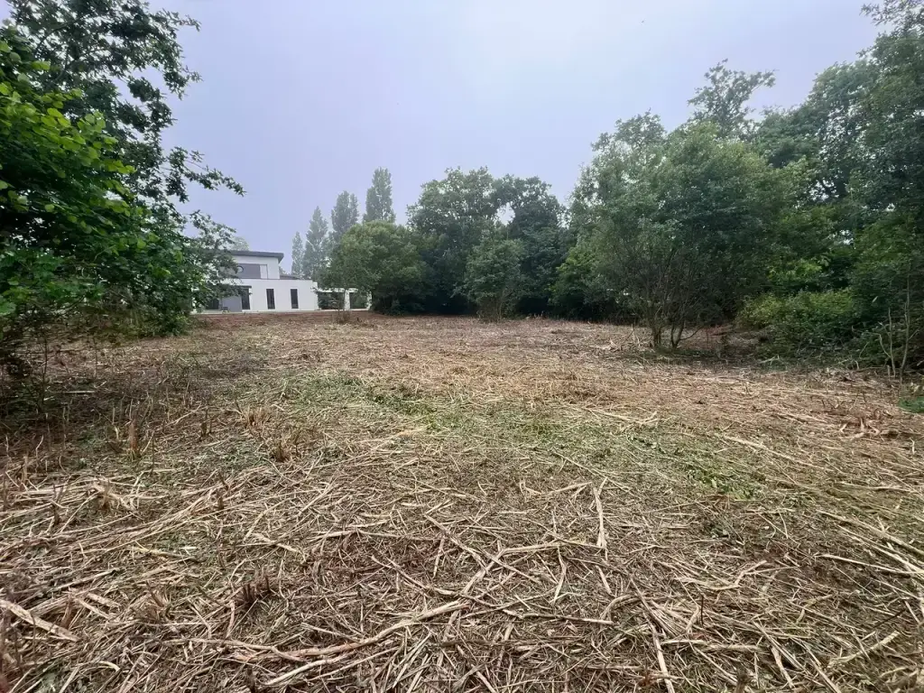 Terrain nettoyé après broyage forestier devant une maison à Fouesnant