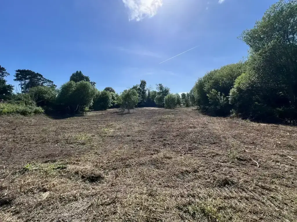 Terrain de 6 000 m² entièrement broyé et dégagé après intervention à Fouesnant