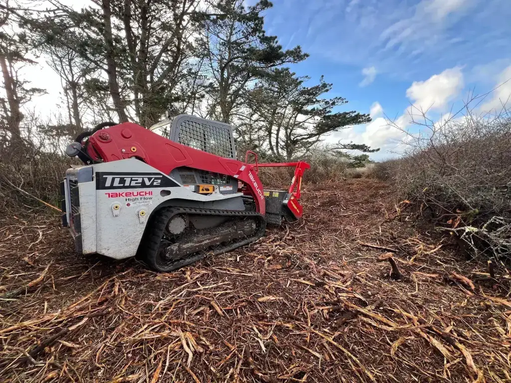 Broyage mécanique de landes et ronciers, défrichage en Finistère Sud