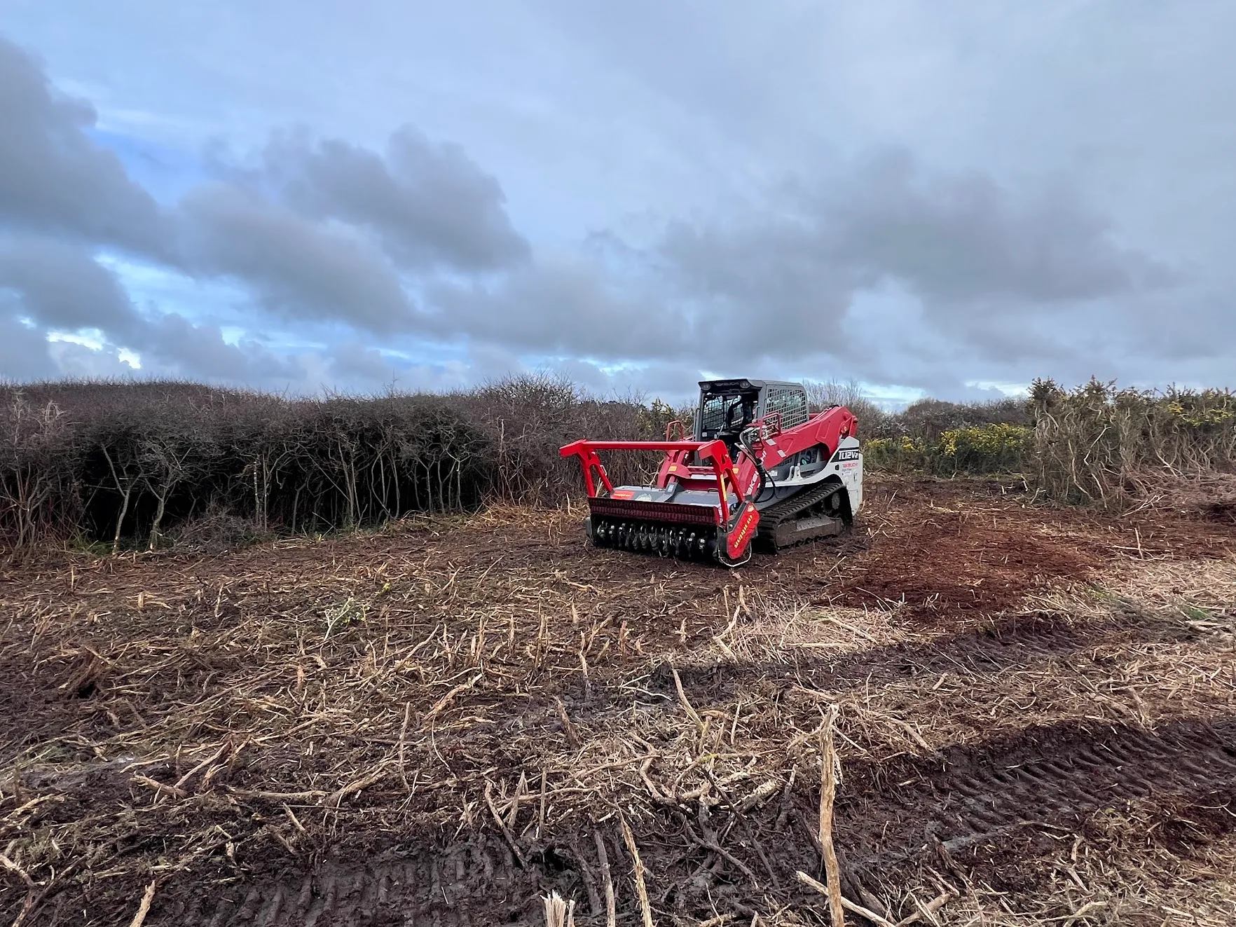Chantier de broyage forestier en Finistère
