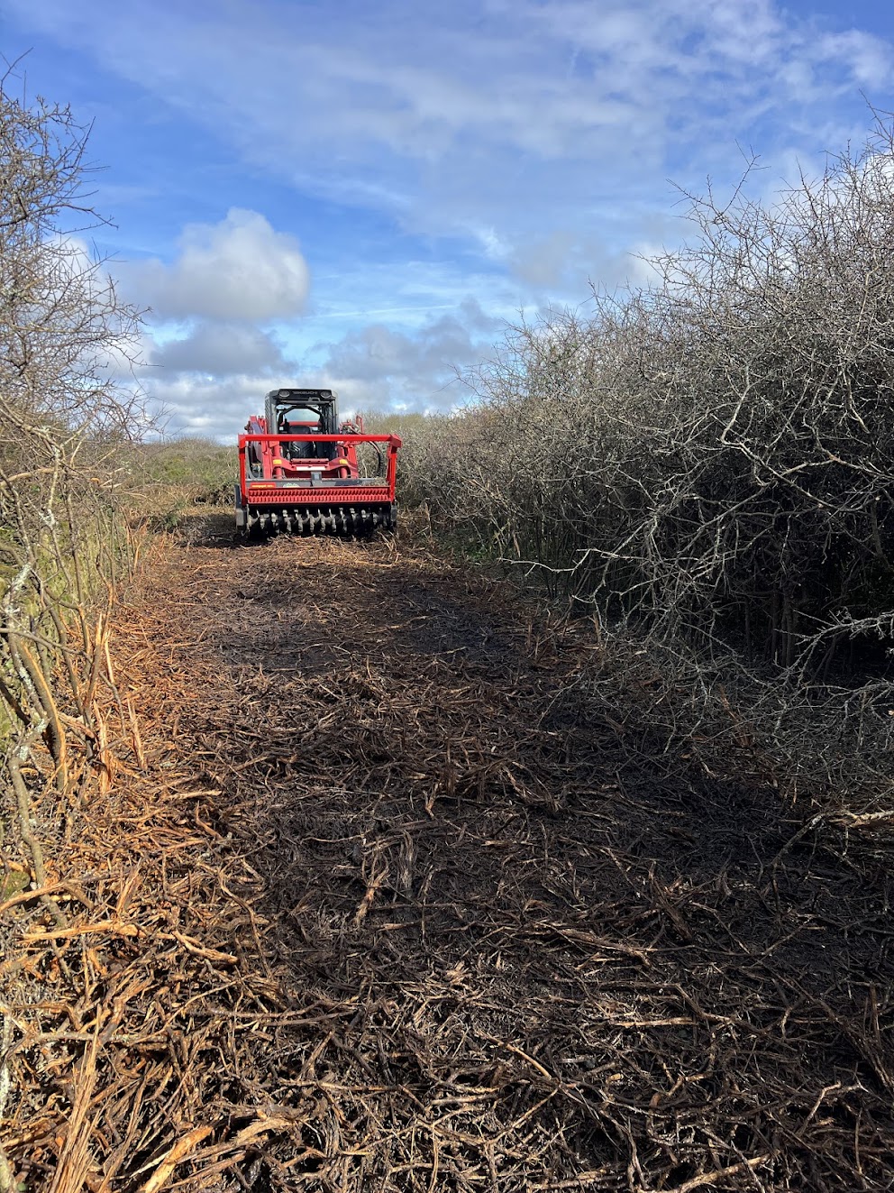 Broyage Forestier Finistère (29)