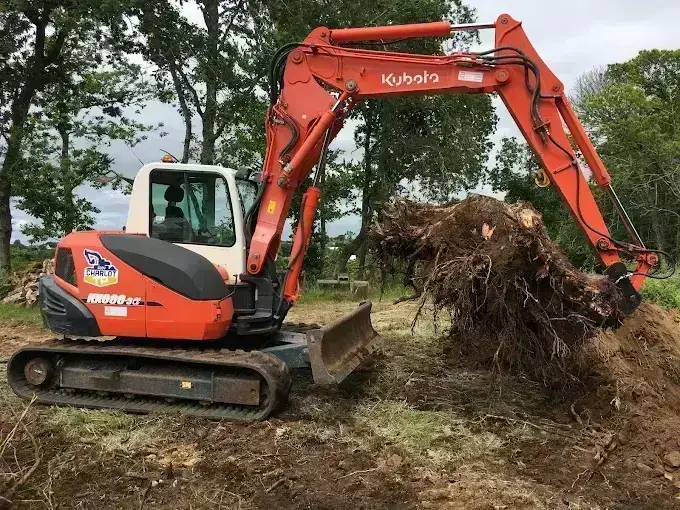 Levage d'une grosse souche racinaire au godet de pelle, dessouchage de terrain en Finistère Sud